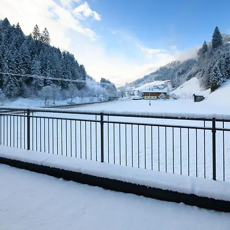 Schiederhof Holiday home