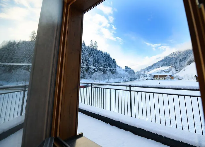 Schiederhof 別荘 *